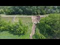 Przerwany wał przeciwpowodziowy w Ostrołęce
